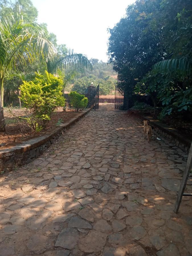 Heritage Vanmala Villa